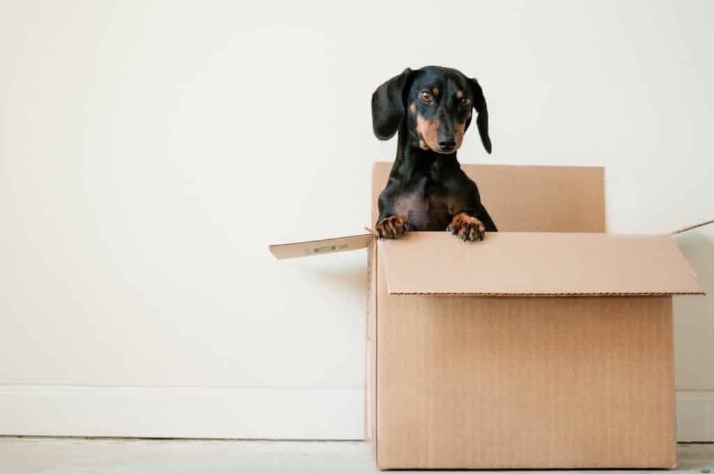 removalist services Townsville