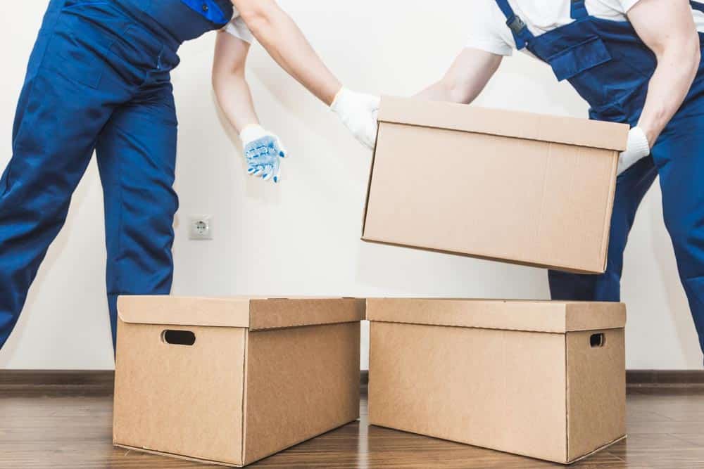 Movers Wearing Gloves While Moving Boxes — Dawson Moving & Storage NQ in Bohle, QLD